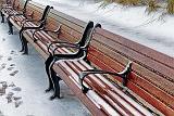 Benches In A Row In Snow_31925